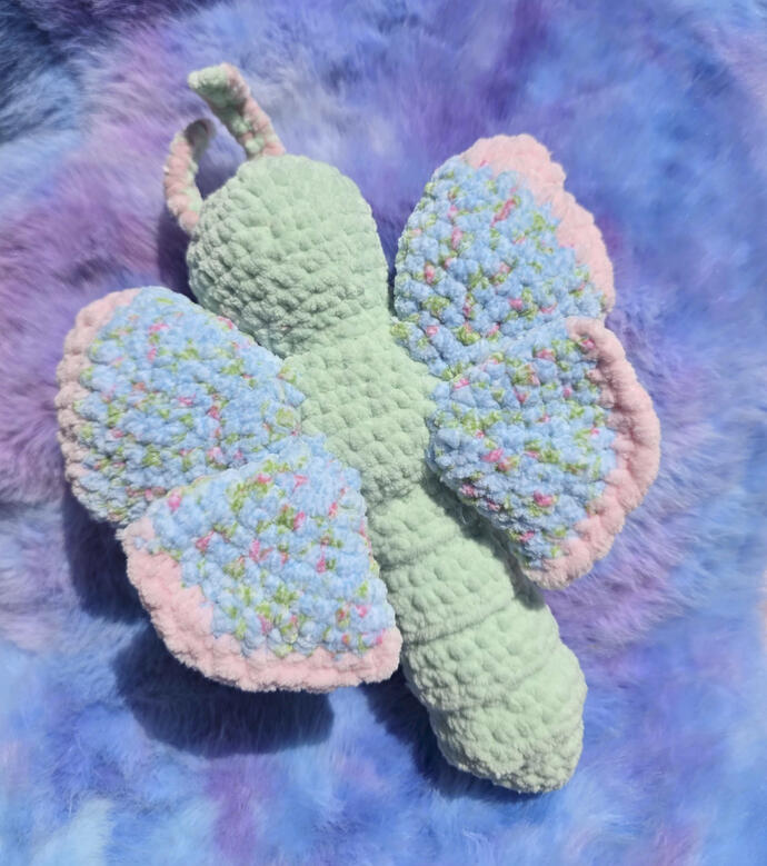 Butterfly 2026 Butterfly 2026