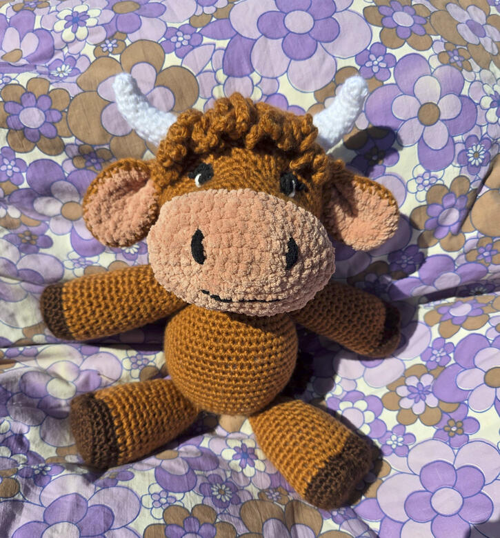 Highland Cow 2026