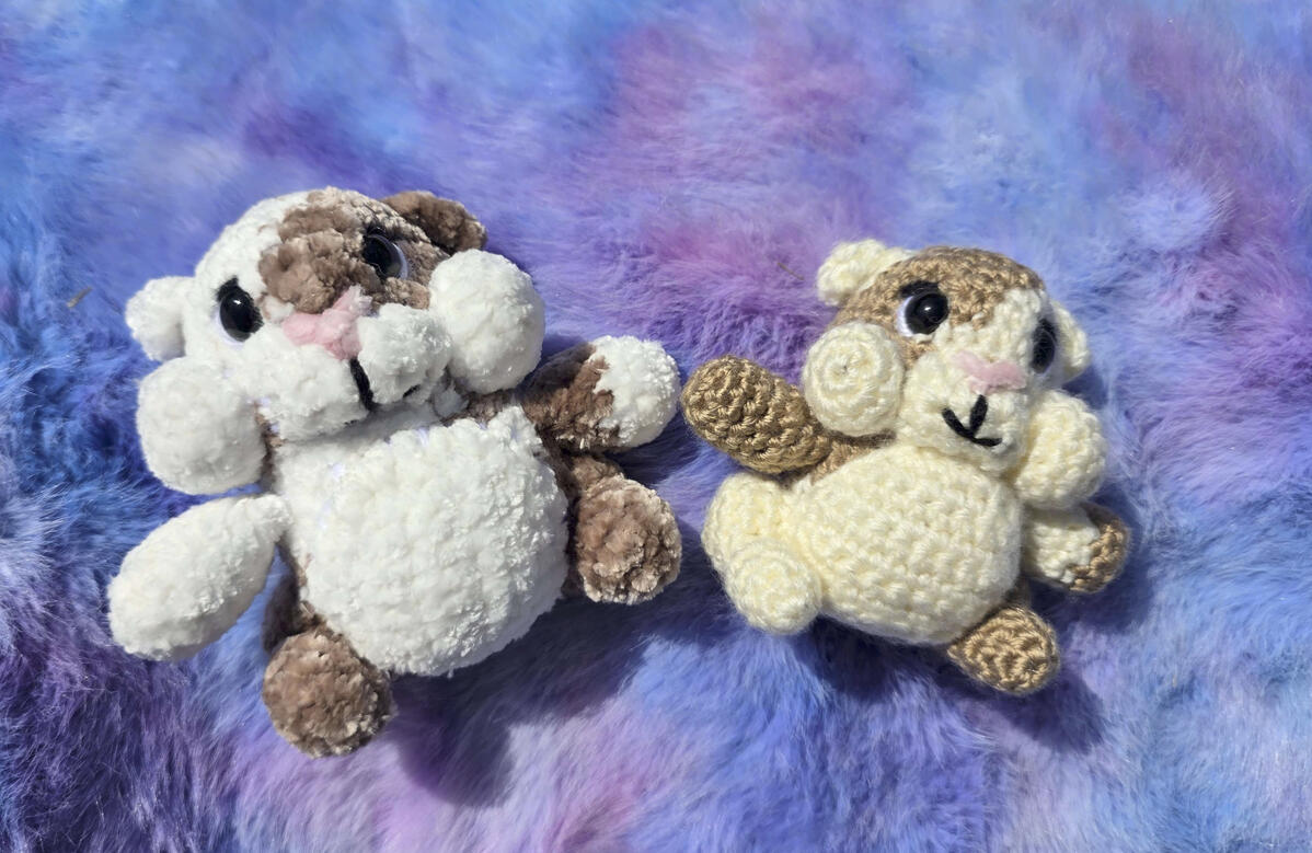 Hamster Duo 2026 Hamster Duo 2026