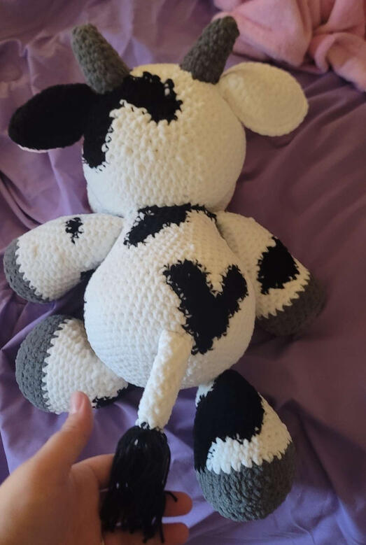 Shane Cow 2025