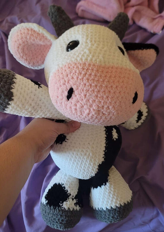 Shane Cow 2025